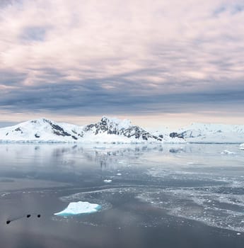 Magical Lemaire,Antarctica pictures