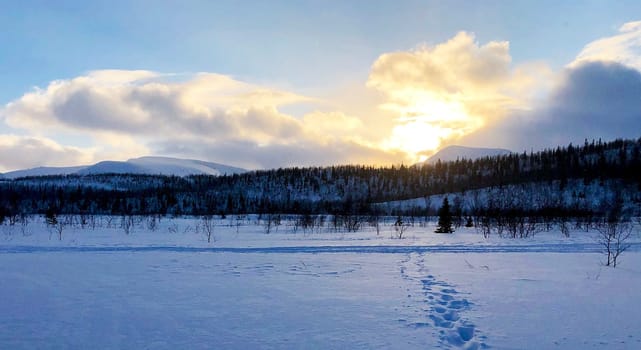 Magical Russian Arctic pictures