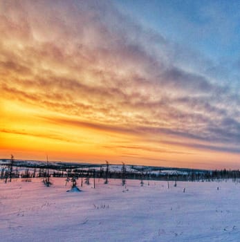 Magical Russian Arctic pictures