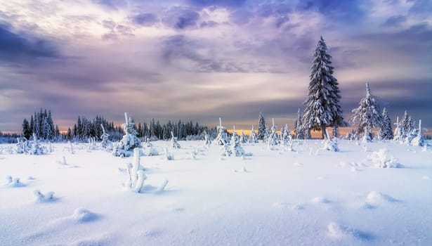 Magical Russian Arctic pictures