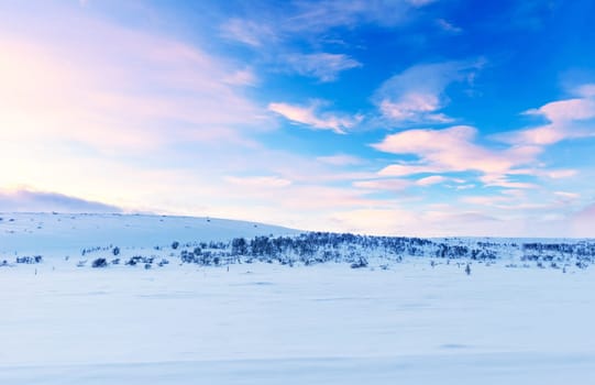 Magical Russian Arctic pictures