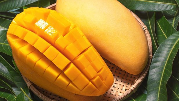 Fresh Mango - Juicy diced fruit in bamboo sieve on green color leaves background. Tropical summer concept. Top view, close up, macro, copy space.