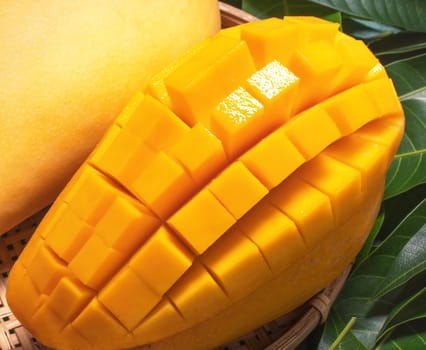 Fresh Mango - Juicy diced fruit in bamboo sieve on green color leaves background. Tropical summer concept. Top view, close up, macro, copy space.