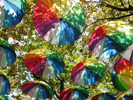 Pride rainbow umbrellas on trees background