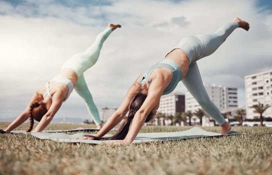Yoga, exercise and wellness with woman friends in the park together for mental health or fitness. Pilates, zen or downward dog with a female yogi and friend outside on a field for a summer workout.