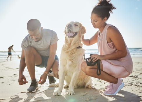 Fitness, couple and dog at beach, exercise and running on sand, ocean and summer workout, sports and healthy in sunshine. Strong man, woman and runner with labrador animal for cardio training at sea.