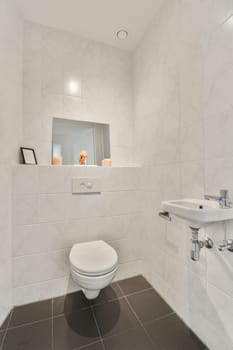 a white bathroom with black tile flooring and wall mounted mirror above the toilet bowl on the left is an image of a dog