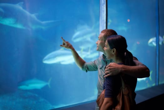 Smile, aquarium and couple pointing at fish on vacation, holiday or date together. Happiness, oceanarium and man and woman watching marine life, animals swimming underwater in fishtank and hugging.