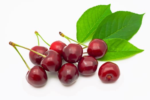 Ripe, juicy cherries on a white background