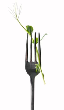 green pea sprout on fork isolated on white . Vegetarianism, healthy eating, growing microgreens