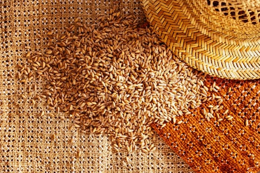  Uncooked spelt  on colored background,  ,cereal grains ,