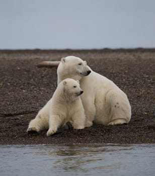 Magical Kaktovik,Alaska pictures