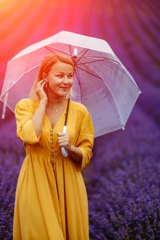 A middle-aged woman in a lavender field walks under an umbrella on a rainy day and enjoys aromatherapy. Aromatherapy concept, lavender oil, photo session in lavender.