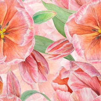 Pink tulips seamless pattern painted in watercolor, realistic botanical hand drawn illustration isolated on white background for design, wedding print products, paper, invitations, cards, fabric, posters, card for Mother's day, March 8, Easter, festivals