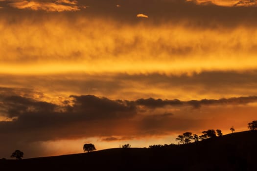 Gradients of sepia tones highlight layers of rolling hills in Bonnie Doon, Victoria, Australia. Trees and rolling hills are silhouetted as the sun sets, with black, orange, grey and brown colours