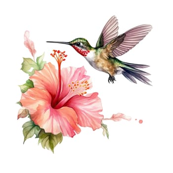 Watercolor Bird Hummingbird Flying Around the Fuchsia Flowers Summer Garden Illustration Set isolated on transparent background. Ai generative