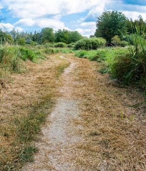 In late summer  the villagers mowed grass along the path leading to the forest.