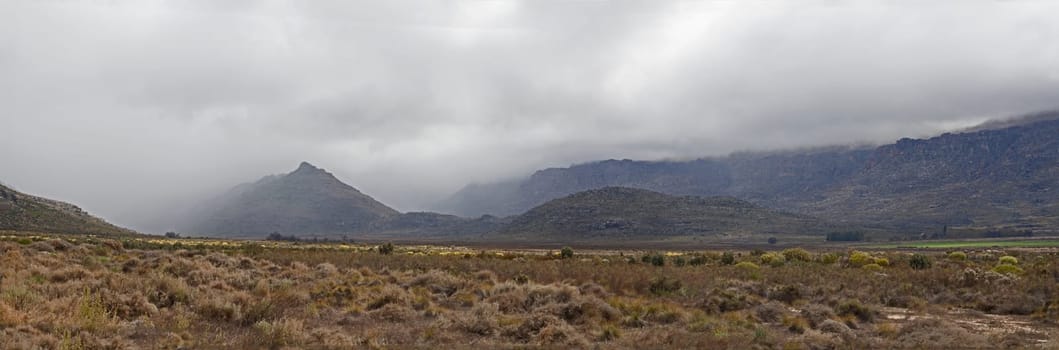 Scenic landscape on a rainy morning in the Cederberg Wilderniss Area, Western Cape, South Africa