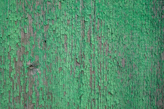 Wood texture with green flaked paint. Peeling paint on weathered wood. Old cracked paint pattern on rusty background. Chapped paint on an old wooden surface