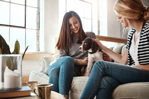 Woman, dog love and friends on sofa in living room for calm, relax peace and quality time. Puppy, happiness lifestyle and animal care with female owners together for pets support on couch in home.