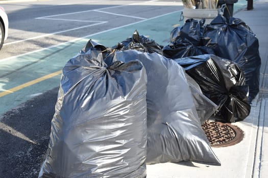 Trash Bags Waiting to be Picked Up on New York City Curb. High quality photo