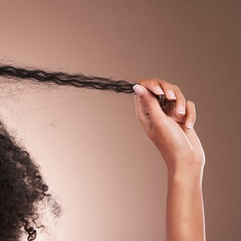 Hair in hands, afro beauty and black woman on brown background for wellness, shine and natural glow. Salon, luxury treatment and hand with strand for growth with curly hairstyle, texture and care.