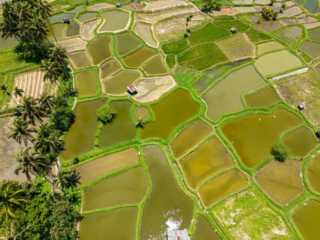 Rice terraces and agricultural land in the tropics. Sumatra. Indonesia.