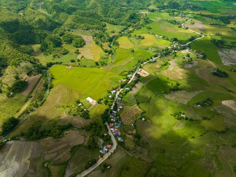 Aerial view of farming and growing plants in a mountain valley. Negros, Philippines