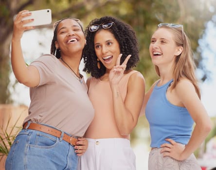 Women friends, park selfie and peace sign with diversity, happy laugh and sunshine with smile on holiday. Black woman, girl or profile picture with solidarity, excited gen z students and social media.