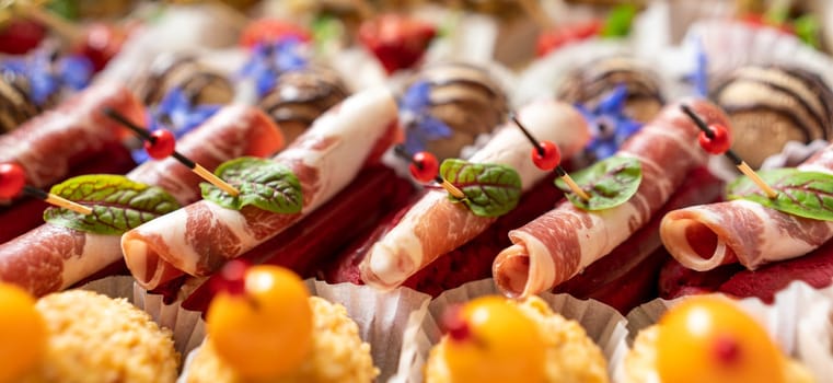 Catering service. Set of beautiful canapes. Buffet table. Shallow depth of view