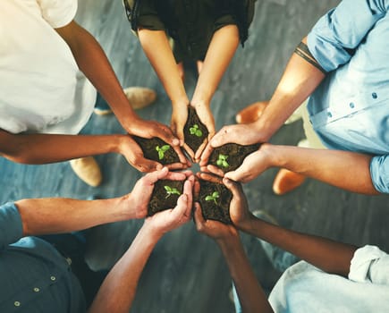 Plant, sustainability and support with hands of business people for teamwork, earth or environment from above. Collaboration, growth and investment with employees for future, partnership or community.