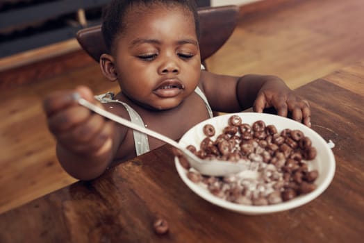 Black child, cereal and eating baby in a home kitchen with food and bowl at breakfast. African girl, nutrition and youth in a house with hungry kid relax with chocolate fiber snack in the morning.