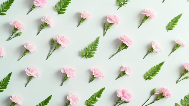 Pink carnation and fern leaves on white background. Spring floral background flowers patterns blooming for wallpaper.