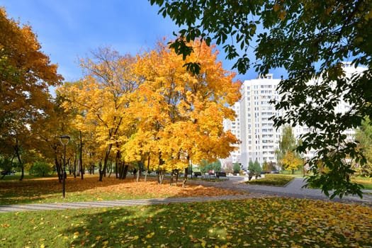 Moscow, Russia - October 2. 2021. autumn in a boulevard in Zelenograd