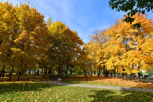 Moscow, Russia - October 2. 2021. autumn in a boulevard in Zelenograd
