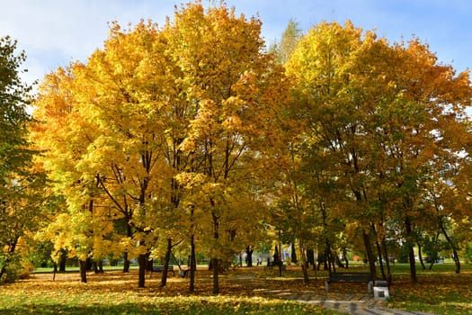 Moscow, Russia - October 2. 2021. autumn in a boulevard in Zelenograd