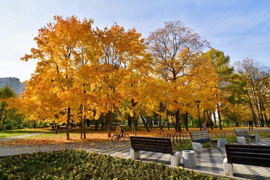 Moscow, Russia - October 2. 2021. autumn in a boulevard in Zelenograd