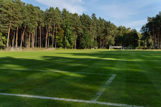 Local football. Soccer freshly cut grass field near pine forest, street game