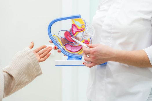Gynecologist doctor consulting a patient using uterus anatomy model