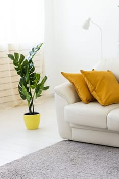 Living room interior with sofa and pillows and green artificial plant.