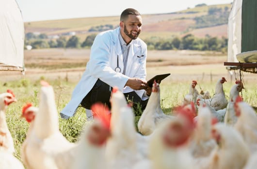 Man, veterinary or tablet on chicken farm for healthcare wellness, bird flu compliance or growth hormone research. Smile, happy or animals doctor with poultry, 5g digital technology or eggs farming.