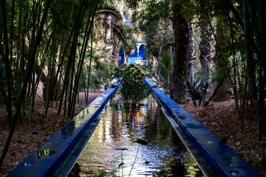 MARRAKECH, MOROCCO 09/08/2013 - The Majorelle Garden is a botanical garden and artist's landscape garden in Marrakech