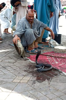 MARRAKECH, MOROCCO 09/11/2013 - Snake charmer facing egyptian cobras at Jemaa el Fna square