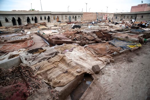 MARRAKECH, MOROCCO 09/11/2013 - View of Leather traditional tannery in medina of Marrakesh