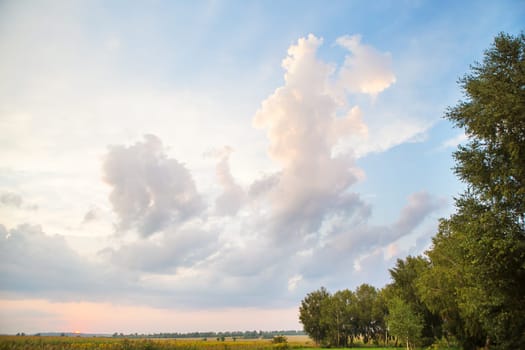 large clouds, beautiful sunset over an agricultural green field.