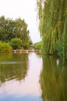 a small fishing lake, rest, summer, fishing camping morning