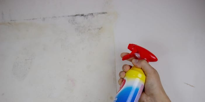removing black mold from the wall. selective focus