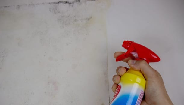 removing black mold from the wall. selective focus