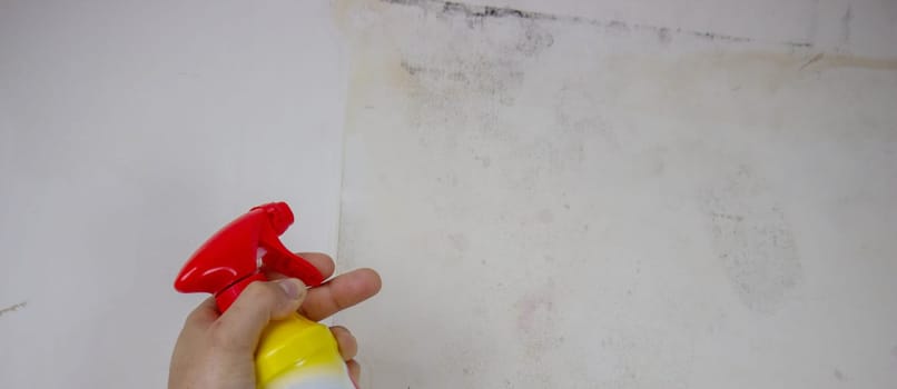removing black mold from the wall. selective focus