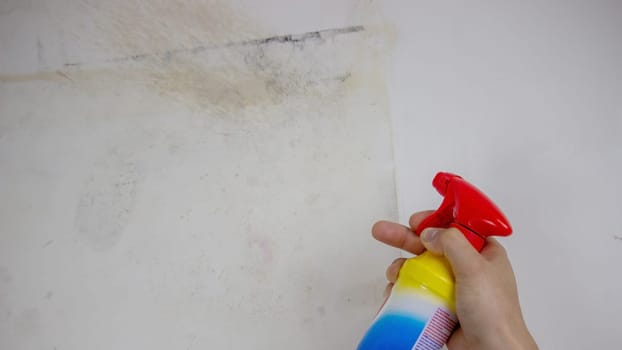 removing black mold from the wall. selective focus